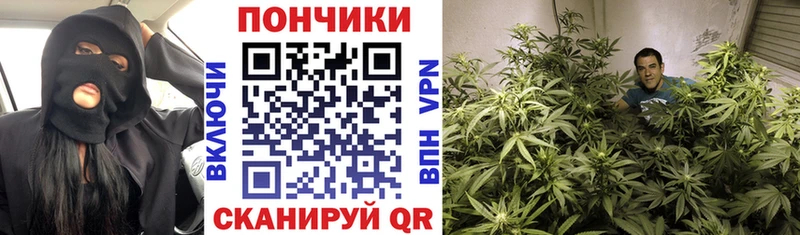 Канабис Bruce Banner  наркота  Неман 